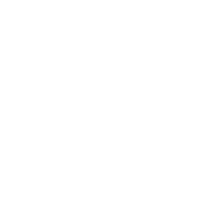 Texas Rollergirls